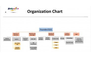 MQCOLOR Organization Chart